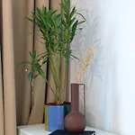 Apartment Koa - Zena Brasov