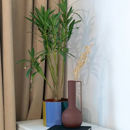 Apartment Koa - Zena Brasov
