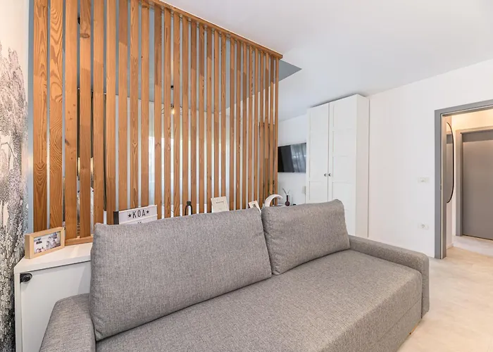 Koa - Zena * Brassó